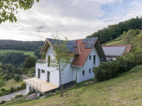 Ferienwohnungen am Dollenberg